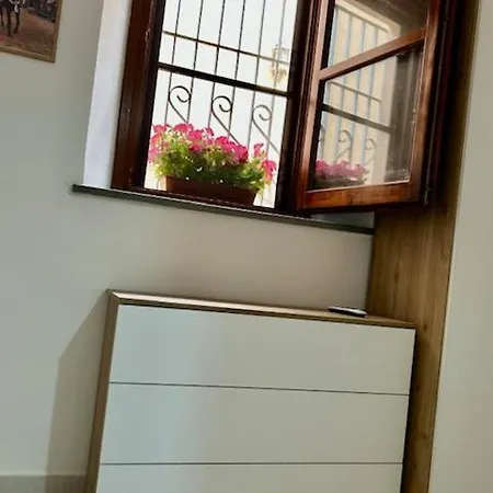 Apartment Domus Domina *